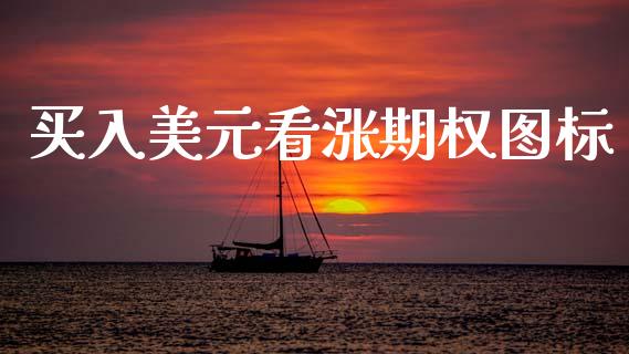 买入美元看涨期权图标_https://cj007.lansai.wang_金融监管_第1张