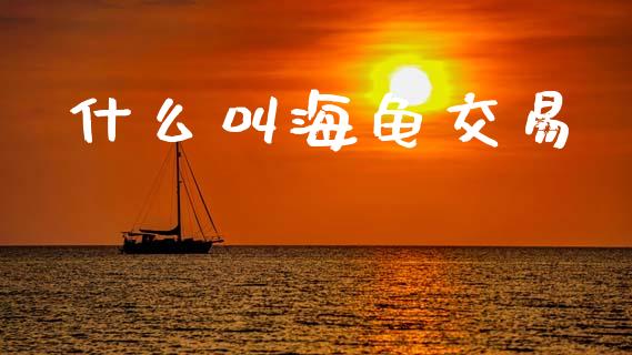 什么叫海龟交易_https://cj007.lansai.wang_全球市场_第1张
