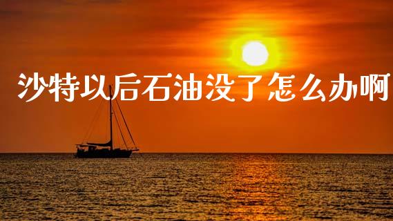 沙特以后石油没了怎么办啊_https://cj007.lansai.wang_债券资讯_第1张