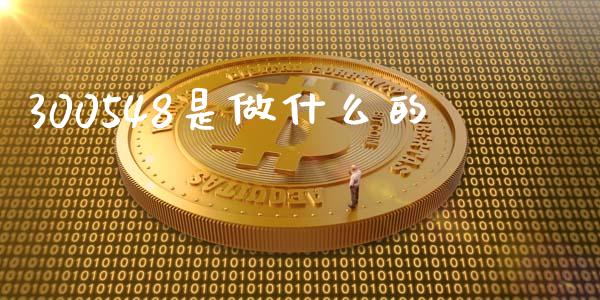 300548是做什么的_https://cj007.lansai.wang_金融监管_第1张
