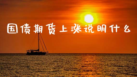 国债期货上涨说明什么_https://cj007.lansai.wang_金融监管_第1张