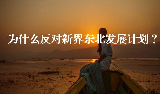 为什么反对新界东北发展计划？_https://cj007.lansai.wang_财经新闻_第1张