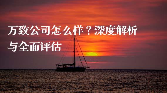 万致公司怎么样？深度解析与全面评估_https://cj007.lansai.wang_全球市场_第1张
