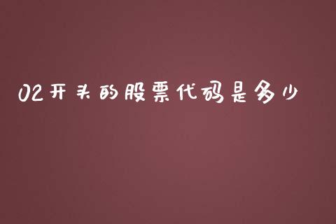 02开头的股票代码是多少_https://cj007.lansai.wang_财经新闻_第1张