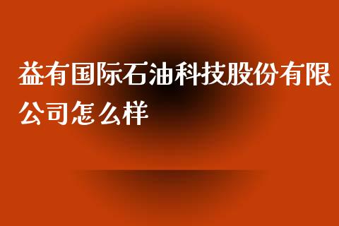 益有国际石油科技股份有限公司怎么样_https://cj007.lansai.wang_金融监管_第1张