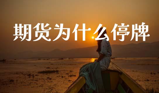 期货为什么停牌_https://cj007.lansai.wang_外汇交易_第1张