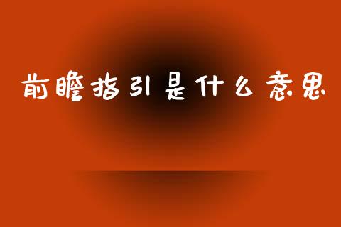 前瞻指引是什么意思_https://cj007.lansai.wang_期货开户_第1张