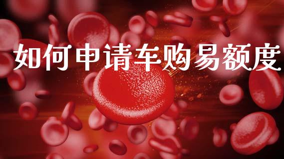 如何申请车购易额度_https://cj007.lansai.wang_全球市场_第1张
