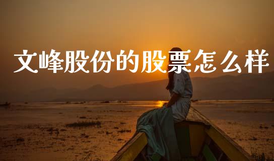 文峰股份的股票怎么样_https://cj007.lansai.wang_债券资讯_第1张