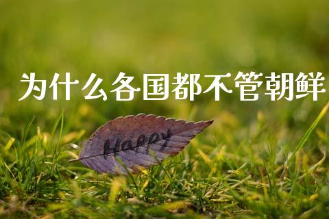 为什么各国都不管朝鲜_https://cj007.lansai.wang_期货开户_第1张