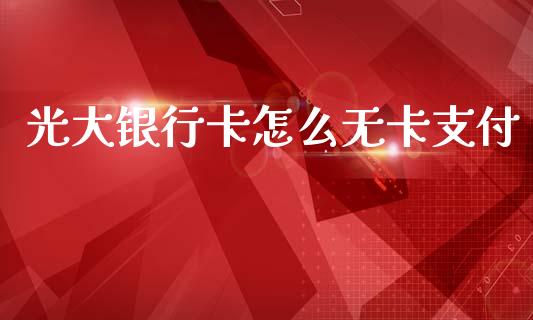 光大银行卡怎么无卡支付_https://cj007.lansai.wang_全球市场_第1张
