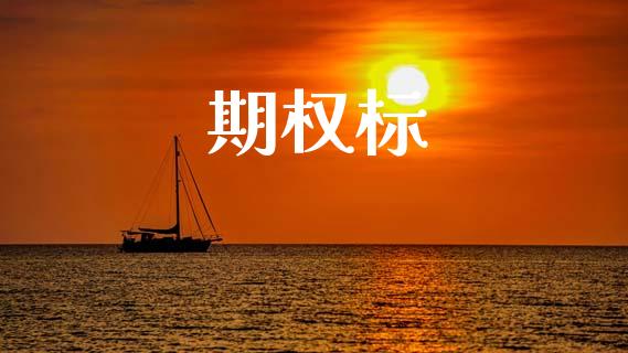 期权标_https://cj007.lansai.wang_期货开户_第1张