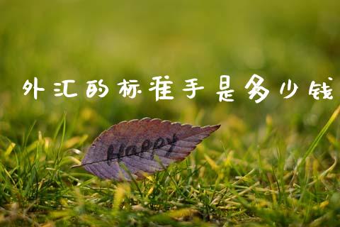 外汇的标准手是多少钱_https://cj007.lansai.wang_期货开户_第1张