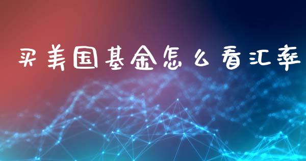 买美国基金怎么看汇率_https://cj007.lansai.wang_债券资讯_第1张