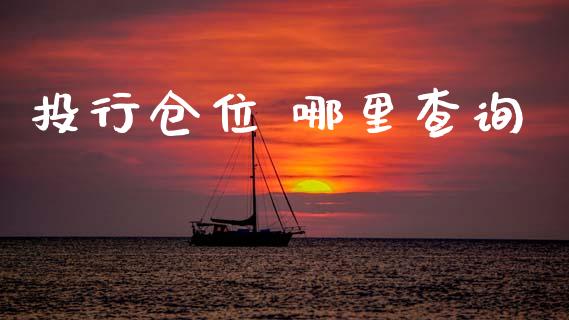 投行仓位 哪里查询_https://cj007.lansai.wang_财经新闻_第1张