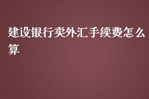 建设银行卖外汇手续费怎么算_https://cj007.lansai.wang_期货开户_第1张
