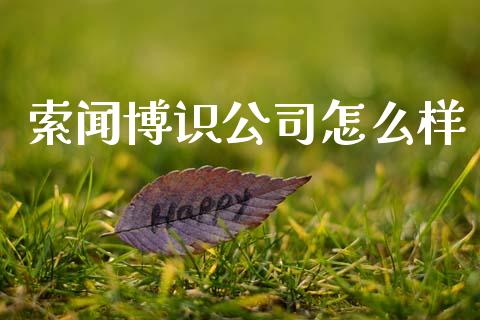 索闻博识公司怎么样_https://cj007.lansai.wang_债券资讯_第1张