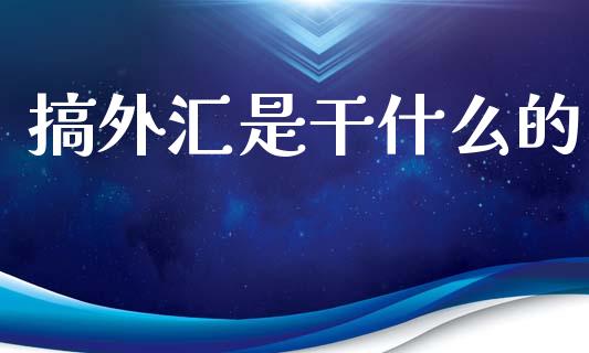 搞外汇是干什么的_https://cj007.lansai.wang_财经新闻_第1张