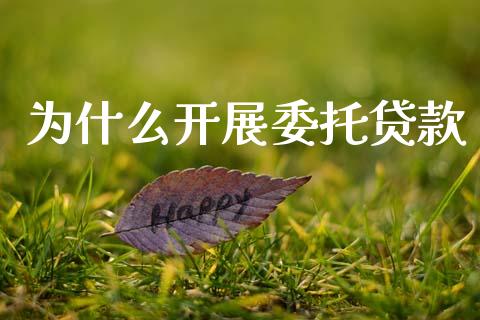 为什么开展委托贷款_https://cj007.lansai.wang_期货开户_第1张