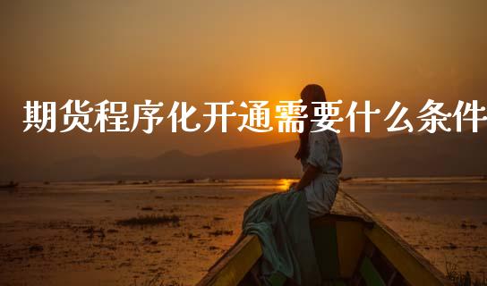 期货程序化开通需要什么条件_https://cj007.lansai.wang_金融监管_第1张