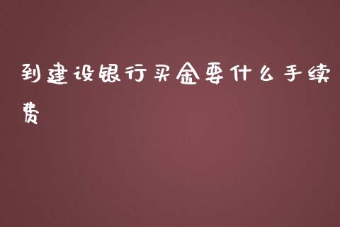 到建设银行买金要什么手续费_https://cj007.lansai.wang_财经新闻_第1张