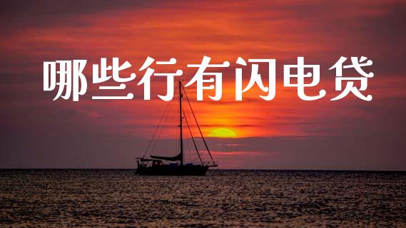 哪些行有闪电贷_https://cj007.lansai.wang_财经新闻_第1张