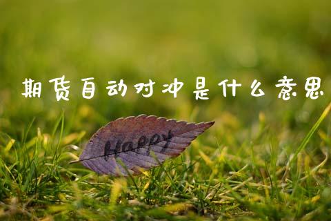 期货自动对冲是什么意思_https://cj007.lansai.wang_外汇交易_第1张
