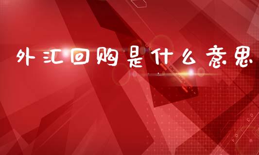 外汇回购是什么意思_https://cj007.lansai.wang_期货开户_第1张