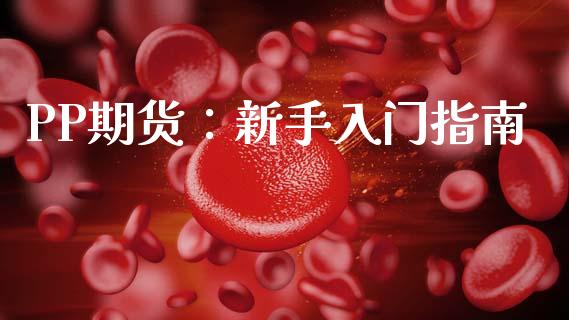 PP期货：新手入门指南_https://cj007.lansai.wang_外汇交易_第1张