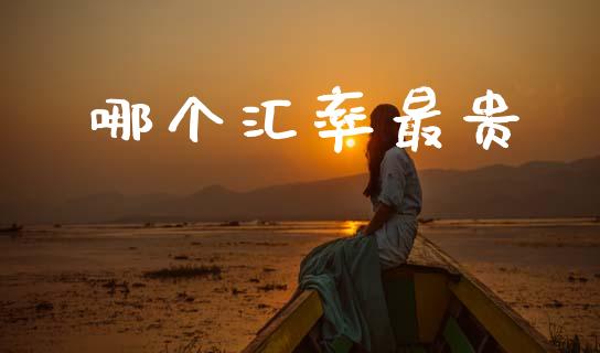 哪个汇率最贵_https://cj007.lansai.wang_外汇交易_第1张