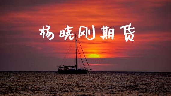 杨晓刚期货_https://cj007.lansai.wang_财经新闻_第1张