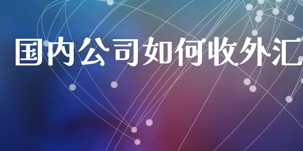 国内公司如何收外汇_https://cj007.lansai.wang_外汇交易_第1张