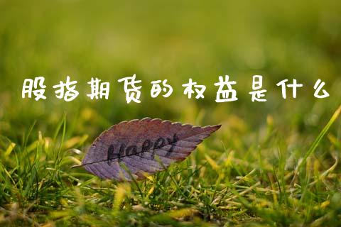 股指期货的权益是什么_https://cj007.lansai.wang_全球市场_第1张