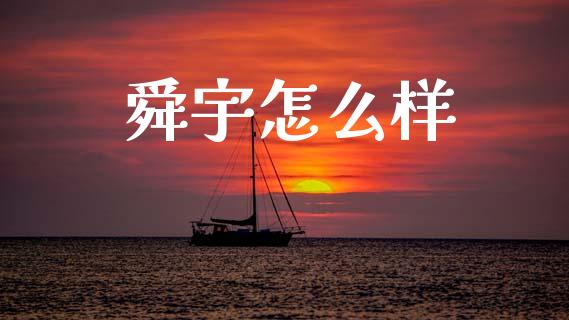 舜宇怎么样_https://cj007.lansai.wang_全球市场_第1张