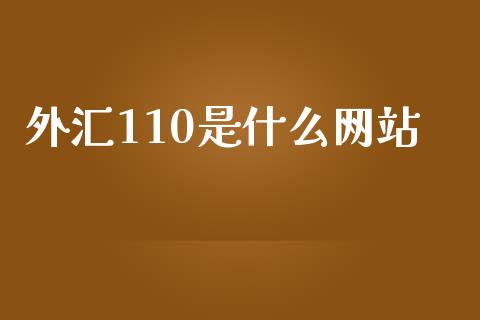 外汇110是什么网站_https://cj007.lansai.wang_期货开户_第1张