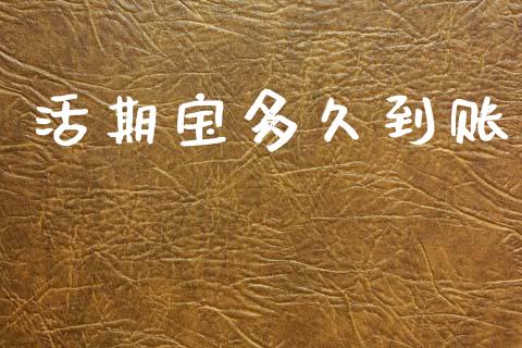 活期宝多久到账_https://cj007.lansai.wang_债券资讯_第1张
