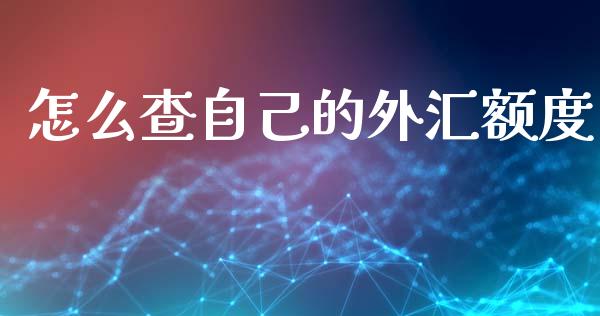 怎么查自己的外汇额度_https://cj007.lansai.wang_期货开户_第1张