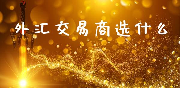 外汇交易商选什么_https://cj007.lansai.wang_金融监管_第1张