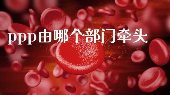 ppp由哪个部门牵头_https://cj007.lansai.wang_债券资讯_第1张