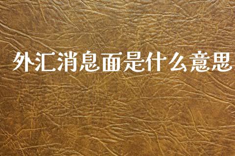 外汇消息面是什么意思_https://cj007.lansai.wang_财经新闻_第1张