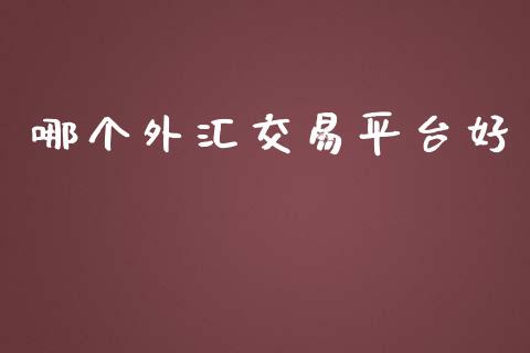 哪个外汇交易平台好_https://cj007.lansai.wang_期货开户_第1张