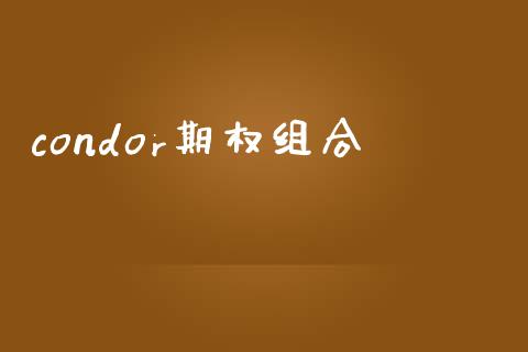 condor期权组合_https://cj007.lansai.wang_债券资讯_第1张
