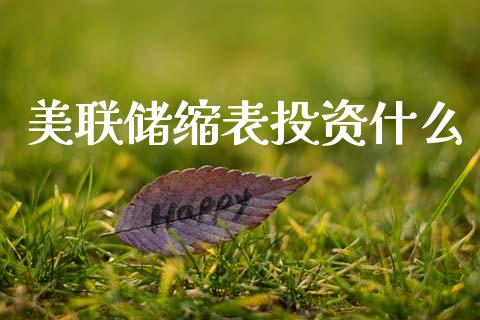 美联储缩表投资什么_https://cj007.lansai.wang_外汇交易_第1张