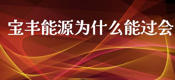 宝丰能源为什么能过会_https://cj007.lansai.wang_财经新闻_第1张