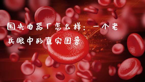 国光电器厂怎么样：一个老兵眼中的真实图景_https://cj007.lansai.wang_财经新闻_第1张