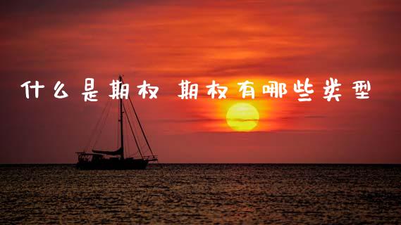 什么是期权 期权有哪些类型_https://cj007.lansai.wang_金融监管_第1张