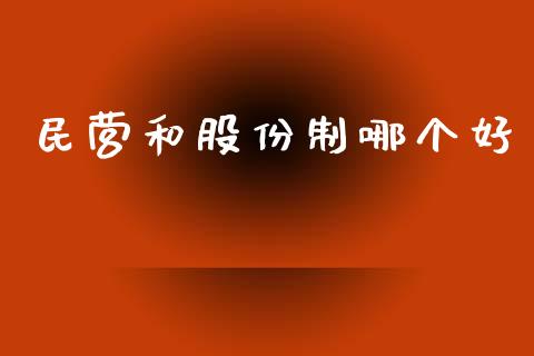 民营和股份制哪个好_https://cj007.lansai.wang_外汇交易_第1张
