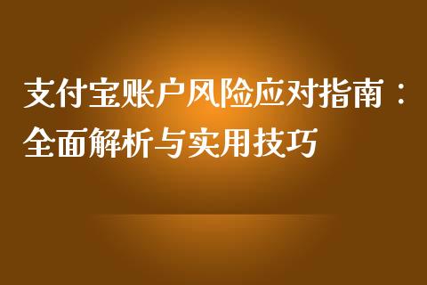 支付宝账户风险应对指南：全面解析与实用技巧_https://cj007.lansai.wang_债券资讯_第1张