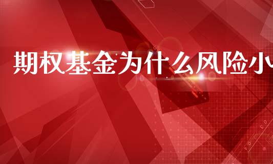 期权基金为什么风险小_https://cj007.lansai.wang_期货开户_第1张