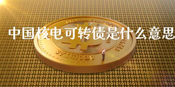中国核电可转债是什么意思_https://cj007.lansai.wang_金融监管_第1张
